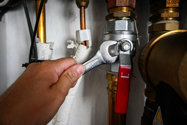 Best Commercial Plumbing Services  in Stanley, VA